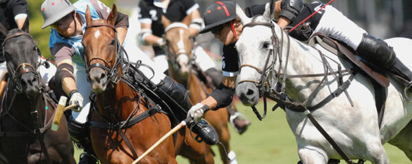 Choisir votre matériel d'équitation