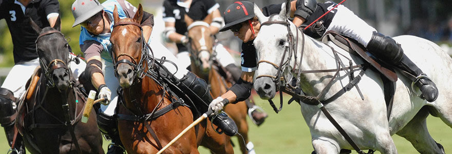 Choisir votre matériel d'équitation